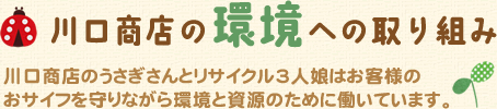 川口商店の環境への取組み 川口商店のうさぎさんとリサイクル3人娘はお客様のおサイフを守りながら環境と資源のために働いています。