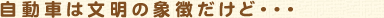 自動車は文明の象徴だけど・・・